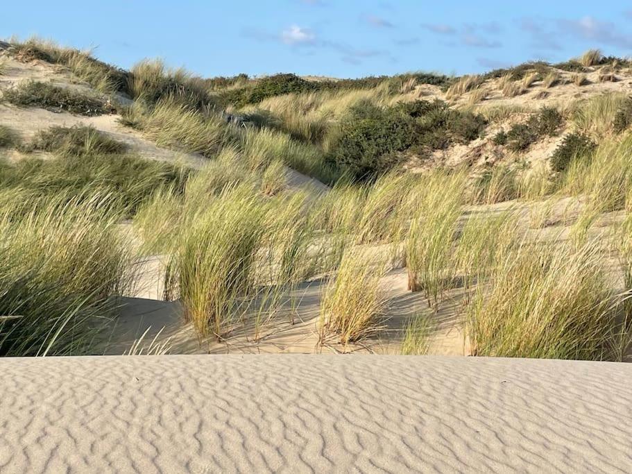 Charmante Maison Individuelle Proche Du Touquet Cucq Eksteriør bilde