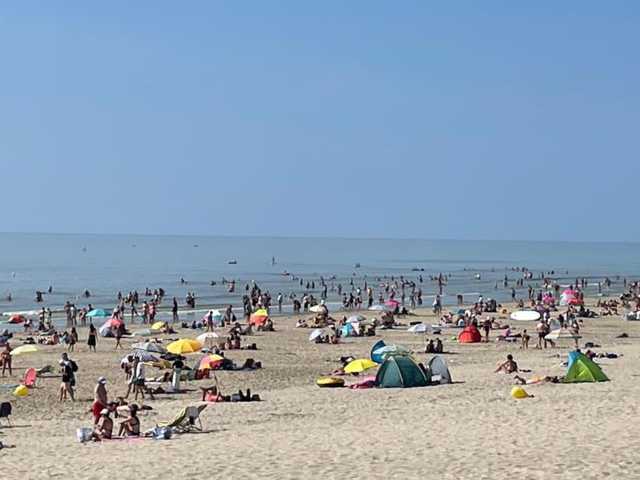 Charmante Maison Individuelle Proche Du Touquet Cucq Eksteriør bilde